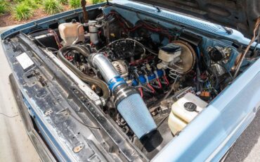 Chevrolet-C-10-1985-2-Door-12
