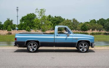 Chevrolet-C-10-1985-2-Door-6