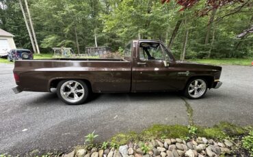 Chevrolet-C-10-1985-5