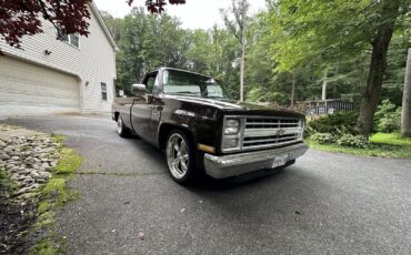 Chevrolet-C-10-1985-6