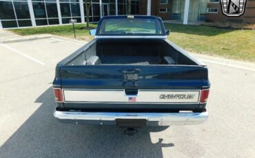 Chevrolet-C-10-1986-Standard-Cab-Pickup-4