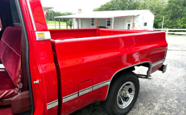 Chevrolet-C-10-1986-Truck-36
