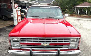 Chevrolet-C-10-1986-Truck-6