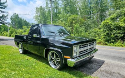 Chevrolet C-10 1987 Standard Cab Pickup