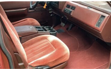 Chevrolet-C-10-1989-5