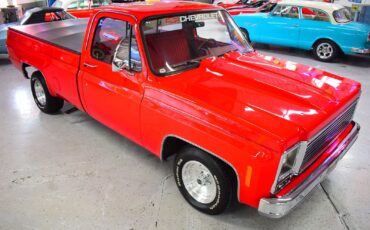 Chevrolet-C10-1979-Other-1