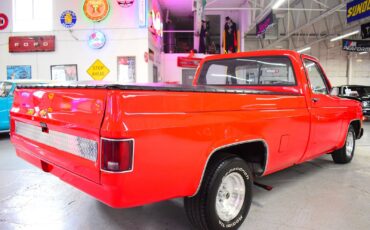 Chevrolet-C10-1979-Other-10