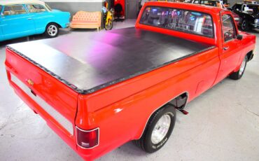 Chevrolet-C10-1979-Other-11