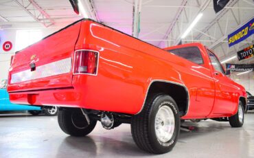 Chevrolet-C10-1979-Other-12