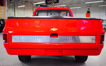 Chevrolet-C10-1979-Other-13