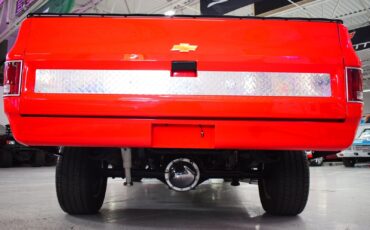 Chevrolet-C10-1979-Other-15
