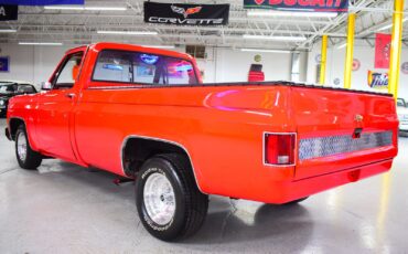 Chevrolet-C10-1979-Other-16