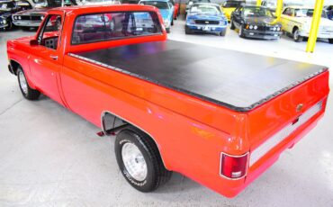 Chevrolet-C10-1979-Other-17