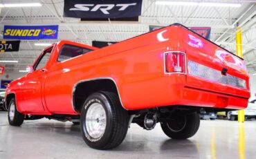 Chevrolet-C10-1979-Other-18