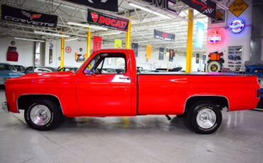 Chevrolet-C10-1979-Other-19