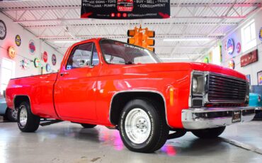 Chevrolet-C10-1979-Other-2