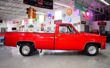 Chevrolet-C10-1979-Other-3
