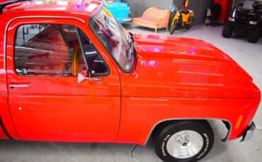 Chevrolet-C10-1979-Other-4