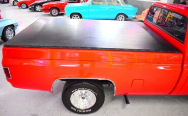 Chevrolet-C10-1979-Other-6