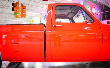 Chevrolet-C10-1979-Other-8