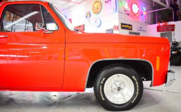 Chevrolet-C10-1979-Other-9