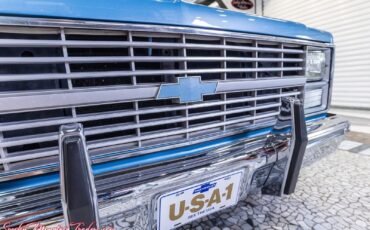 Chevrolet-C10-1984-10