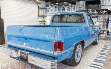 Chevrolet-C10-1984-24