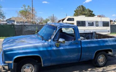 Chevrolet-C10-1986-blue-2