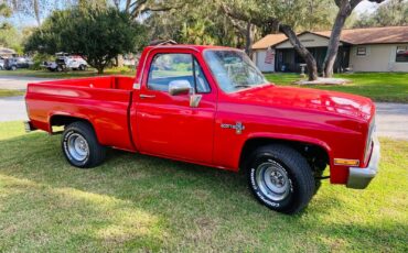 Chevrolet-C10-Scottsdale-1984-Short-Bed-1