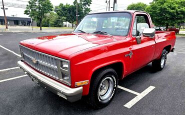 Chevrolet-C10-Scottsdale-1984-Short-Bed-17