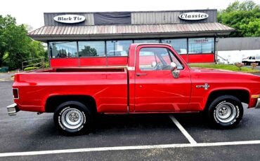 Chevrolet-C10-Scottsdale-1984-Short-Bed-19