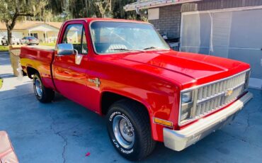 Chevrolet-C10-Scottsdale-1984-Short-Bed-2