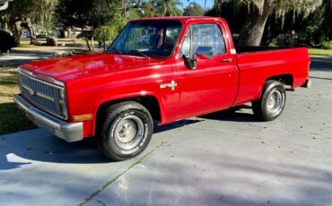 Chevrolet-C10-Scottsdale-1984-Short-Bed-3