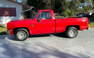 Chevrolet-C10-Scottsdale-1984-Short-Bed-4