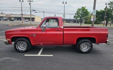 Chevrolet-C10-Scottsdale-1984-Short-Bed-5