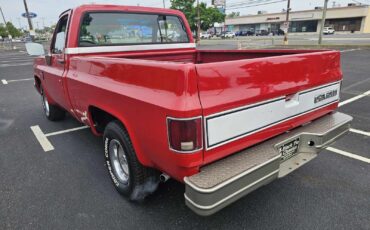 Chevrolet-C10-Scottsdale-1984-Short-Bed-6