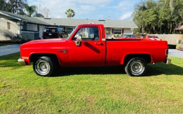 Chevrolet-C10-Scottsdale-1984-Short-Bed-7