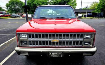 Chevrolet-C10-Scottsdale-1984-Short-Bed-9