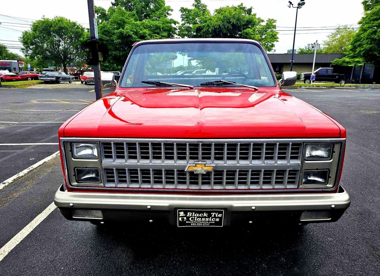 Chevrolet-C10-Scottsdale-1984-Short-Bed-9