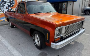 Chevrolet-C10-pickup-1976-1