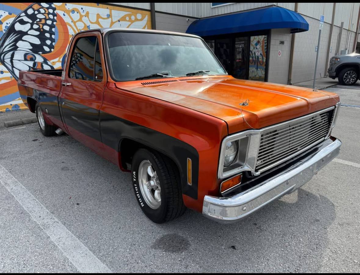 Chevrolet-C10-pickup-1976-1