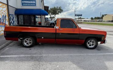 Chevrolet-C10-pickup-1976-2