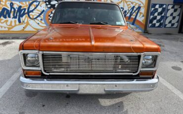 Chevrolet-C10-pickup-1976-3