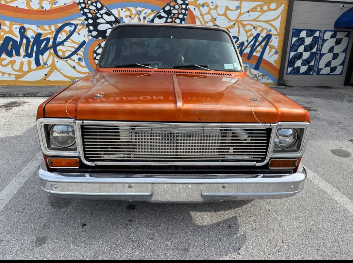 Chevrolet-C10-pickup-1976-3