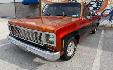 Chevrolet-C10-pickup-1976