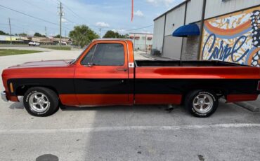 Chevrolet-C10-pickup-1976-4