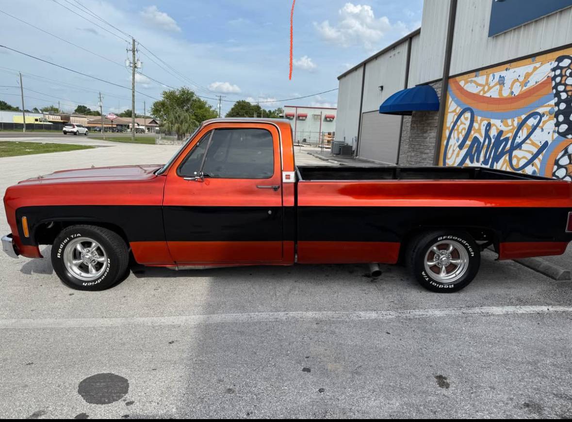 Chevrolet-C10-pickup-1976-4
