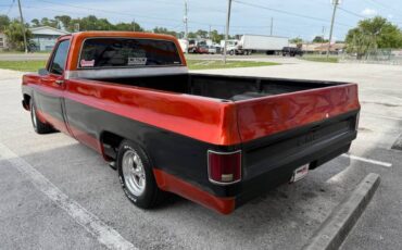Chevrolet-C10-pickup-1976-5