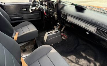 Chevrolet-C10-pickup-1976-6