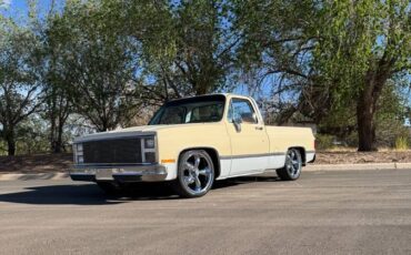 Chevrolet-C10-swb-1980-1